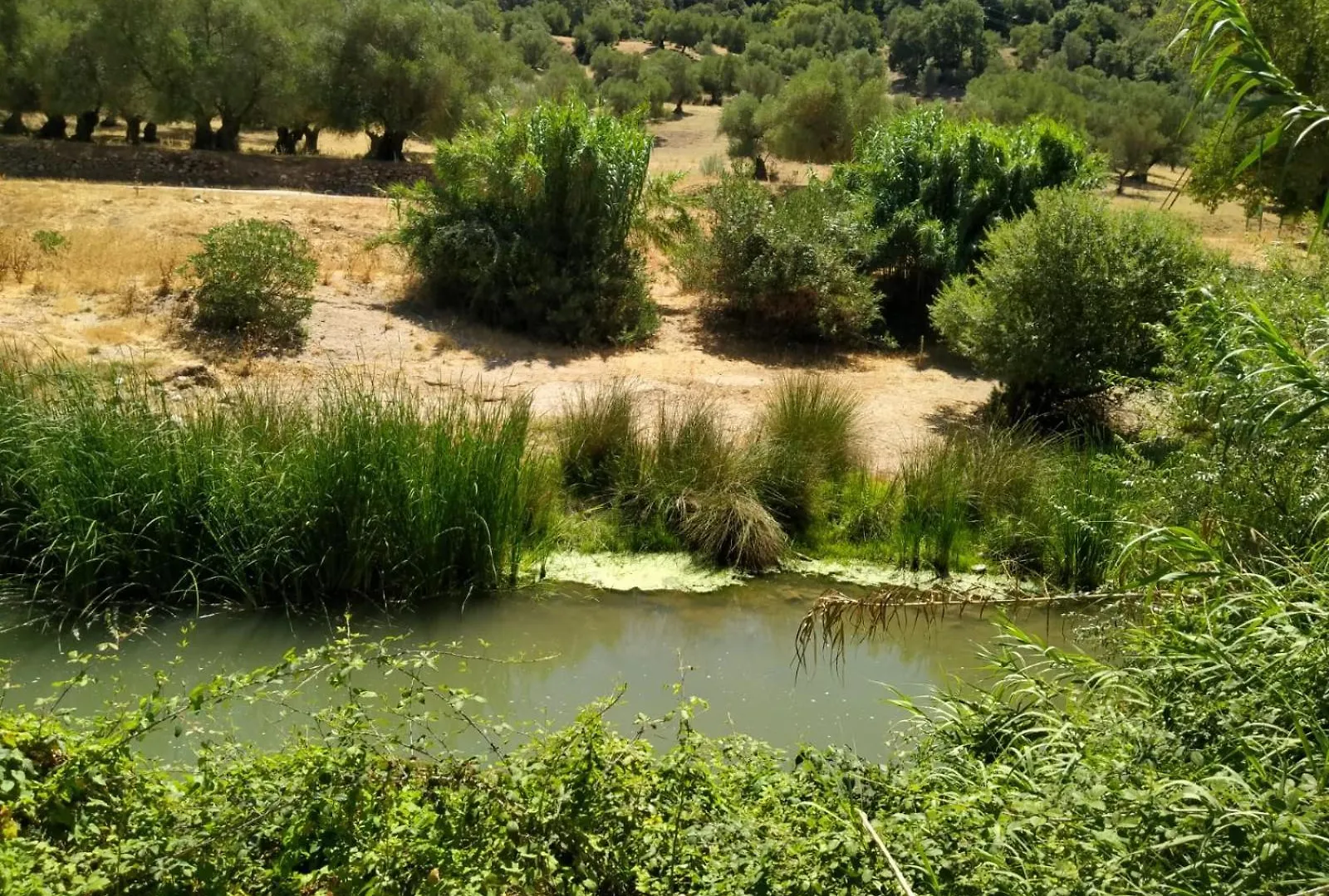 Molino Del Caracol Holiday home Benaojan 0*,  Spain