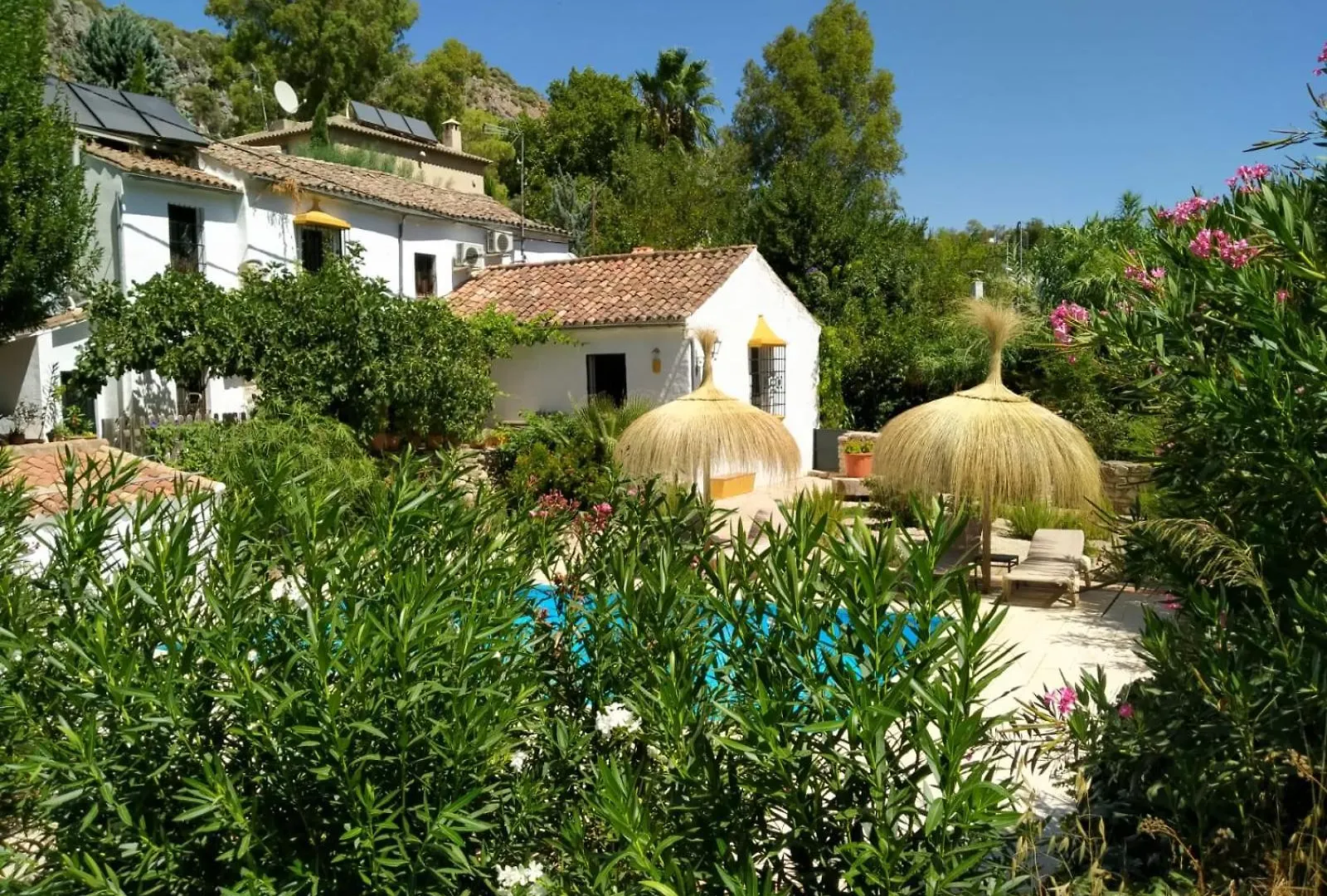 Molino Del Caracol Holiday home Benaojan