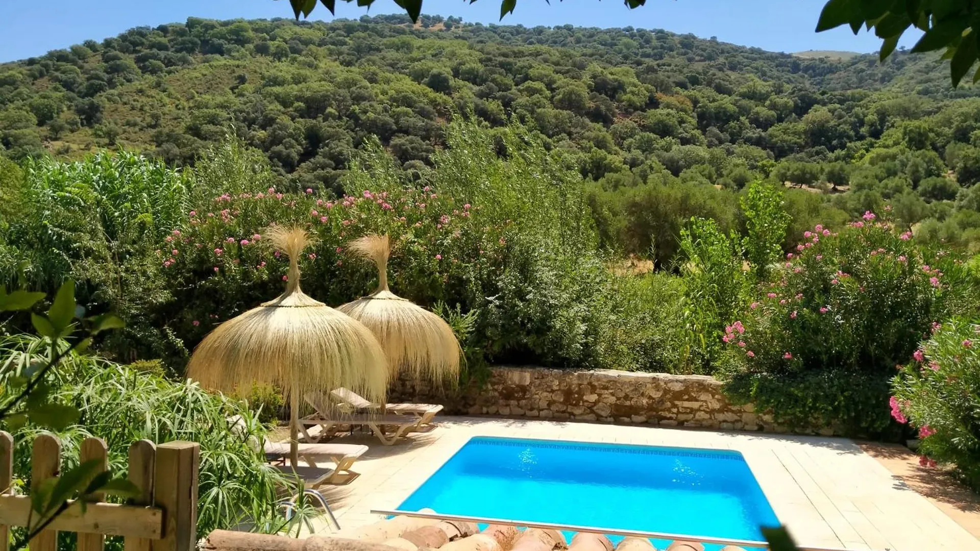 Molino Del Caracol Holiday home Benaojan 0*,